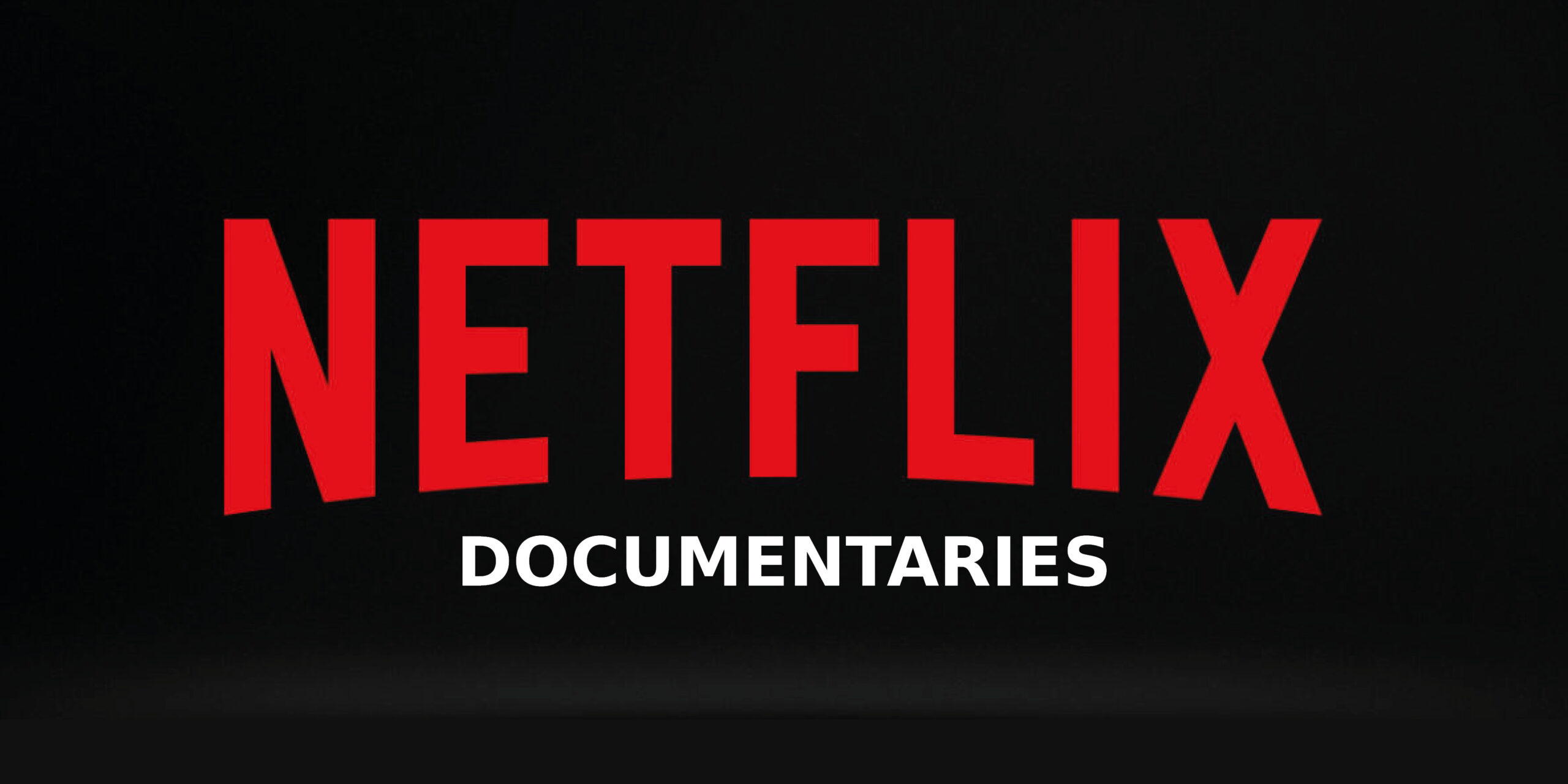 Great Documentaries on Netflix Kramer the Curator